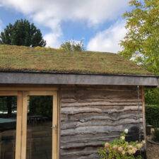 Residential green roof watering system