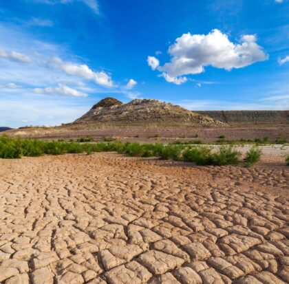 Parched desert area