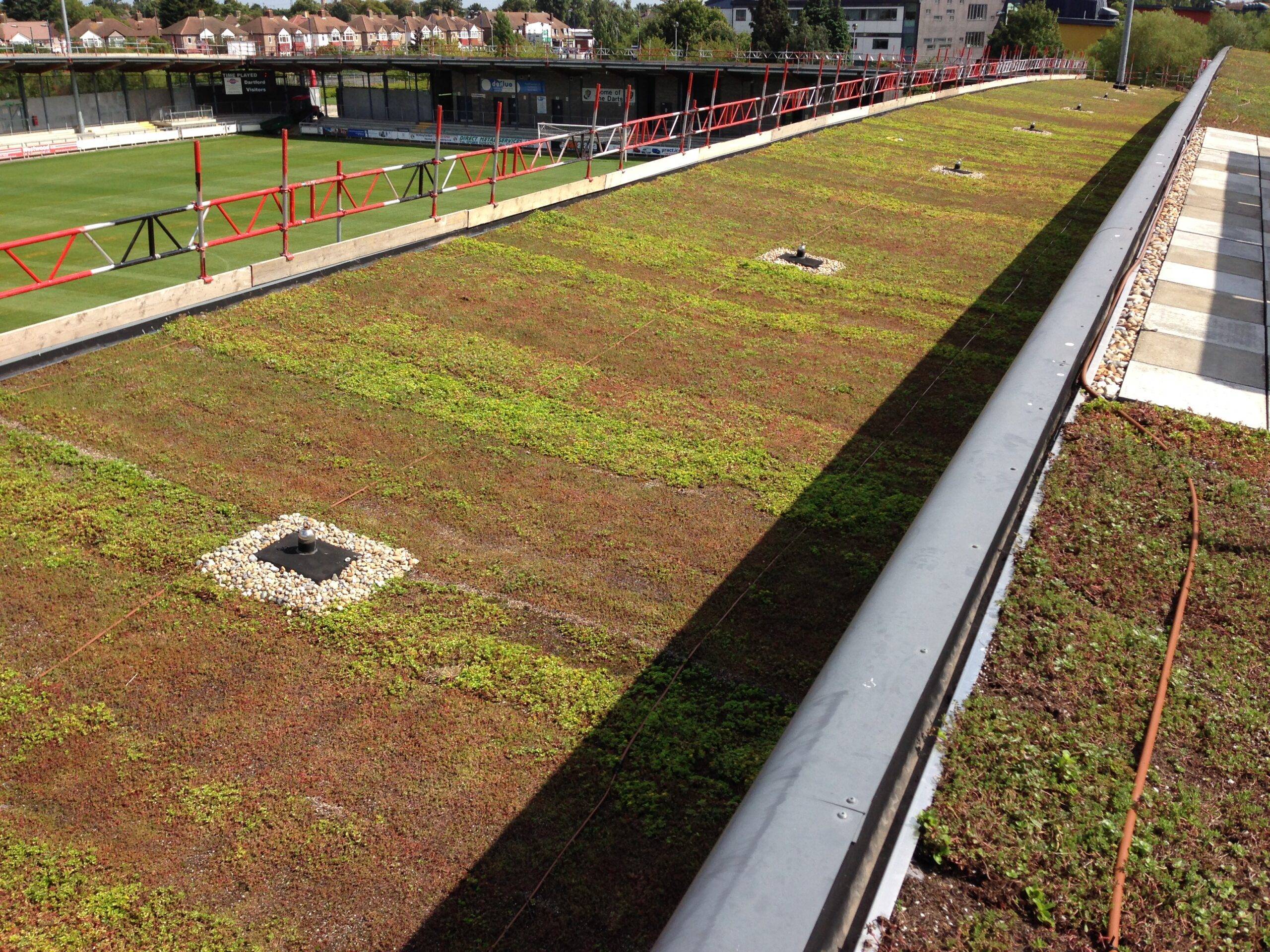 View of Dartford FC Green Roof Irrigation - Access Irrigation
