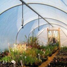 Single Line Polytunnel Irrigation Kits