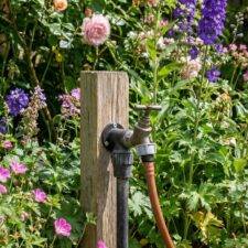 Dripline Starter Pack